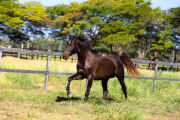 Quilombo