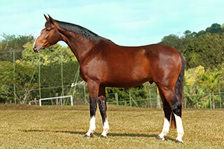 Nubalou da Cabana